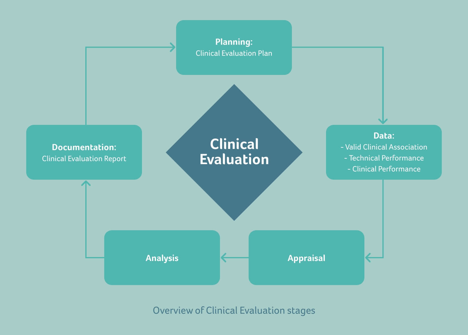 clinical evaluation report literature review
