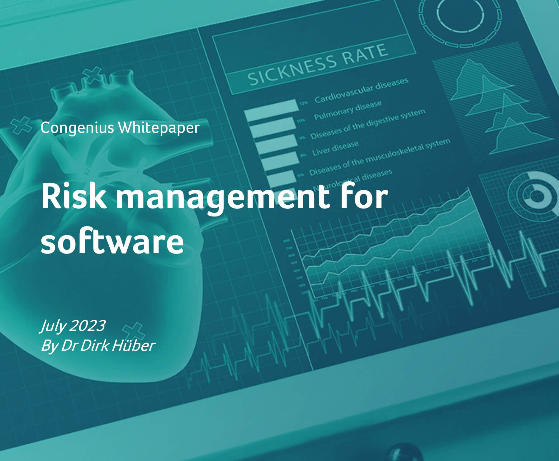 Risk management for software
